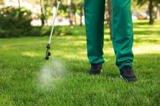 Best Pest Control Treatment  in Hamlin, TX
