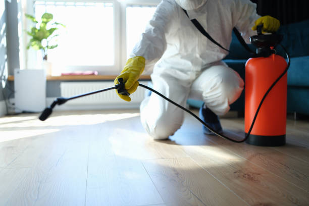 Best Pest Prevention Services  in Hamlin, TX