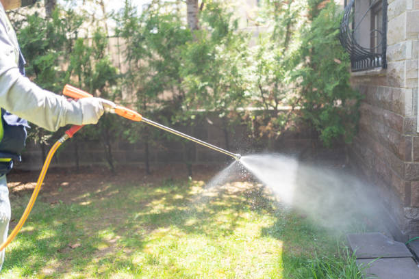 Professional Pest Control in Hamlin, TX