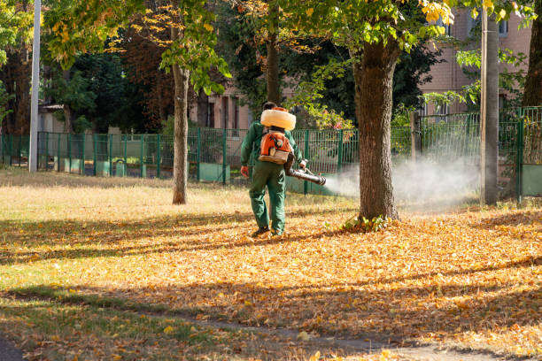 Best Best Pest Control Companies  in Hamlin, TX