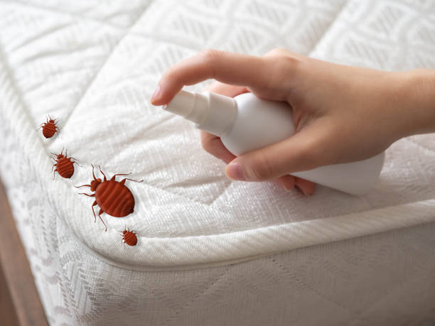  Hamlin, TX Pest Control Pros