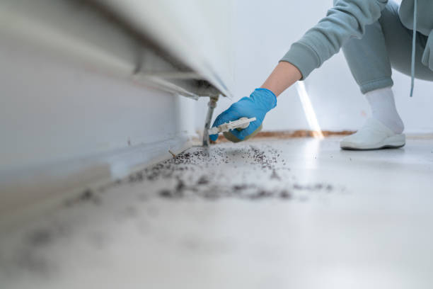 Pest Prevention Services in Hamlin, TX