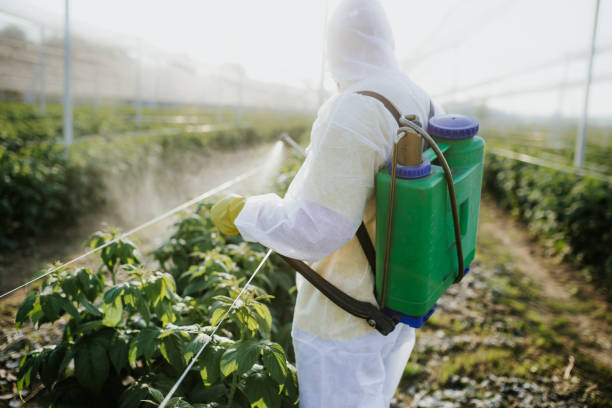Best Pest Inspection Near Me  in Hamlin, TX